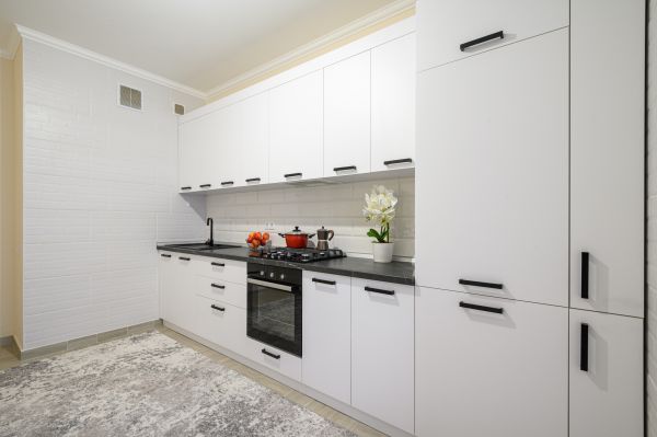 Cabinet Laminate Repair in Spring