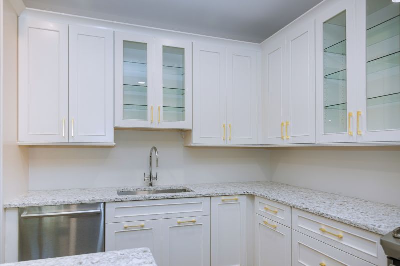 Kitchen Cabinet Replacement